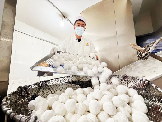 1772518431546056779.jpg 20260303_002_3252.jpg