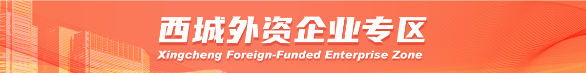 西城外资企业专区