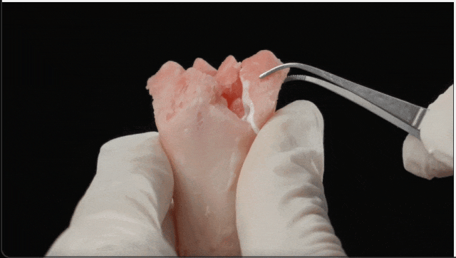 1784887736502037847.gif 640 (1).gif