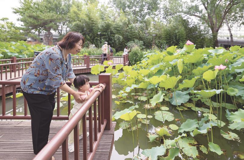 潭西胜境 夏满西城